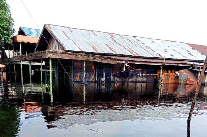 Ratusan Rumah di Barito Selatan Terendam Banjir
