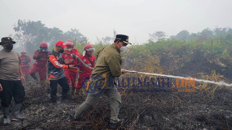 Bupati Barito Utara Turun Langsung Padamkan Karhutla di Desa Trahean