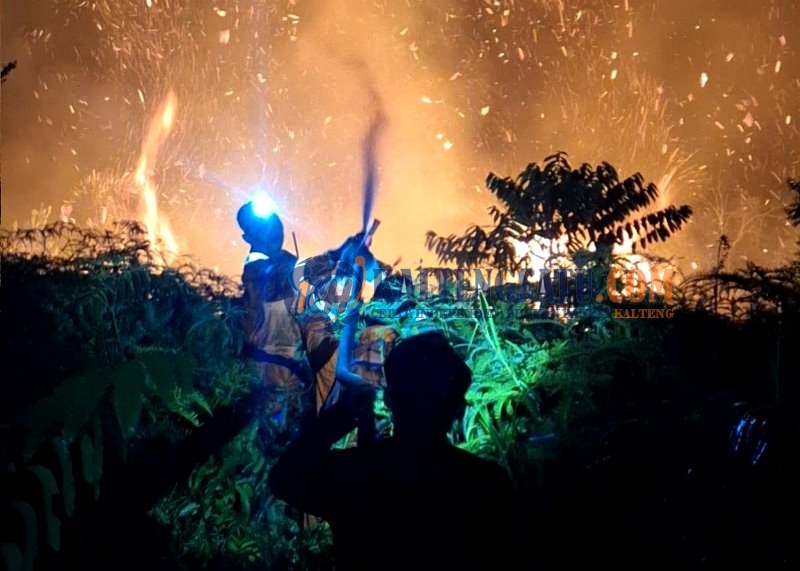 BPBD Barito Utara Padamkan Karhutla di Tiga Lokasi, Luas Lahan Terbakar Capai 5,06 Hektare