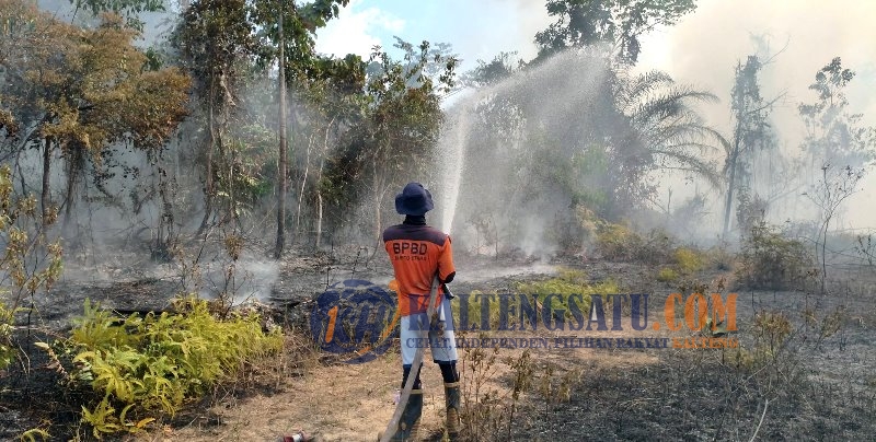BPBD Barut Padamkan Karhutla di Tiga Lokasi Berbeda, Total Lahan Terbakar Capai 1,4 Hektare