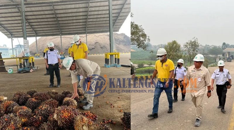 Pemkab Barito Utara Dorong Pengembangan Industri Kelapa Sawit Berbasis Nilai Tambah