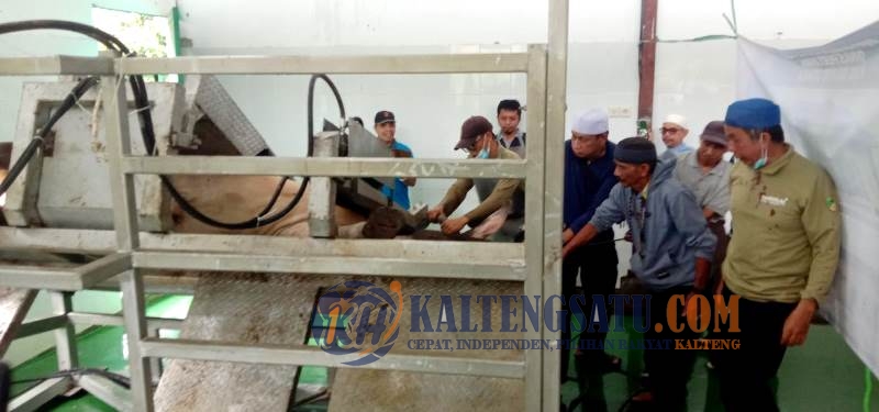 Masjid Al-Muthmainnah Apresiasi Bantuan Sapi Kurban Presiden dan Pelayanan RPH Muara Teweh