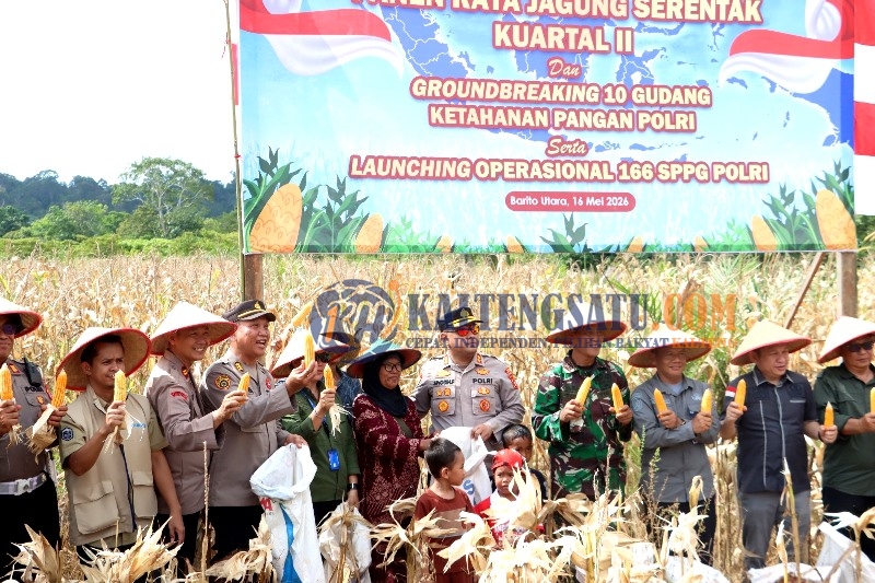 Dukung Ketahanan Pangan Nasional dan ASTA CITA Pemerintah RI, Polres Barito Utara Panen Jagung