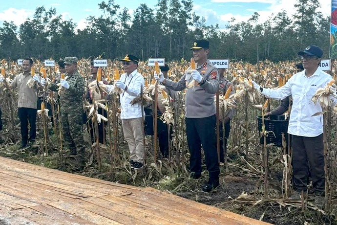 Agustiar Sabran Tekankan Kesiapan Lahan saat Panen Raya Jagung di Rakumpit