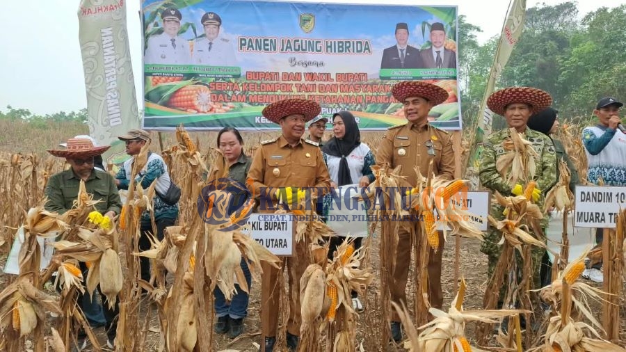 Bupati Shalahuddin Dorong Pengembangan Jagung Hibrida untuk Perkuat Ketahanan Pangan Barito Utara